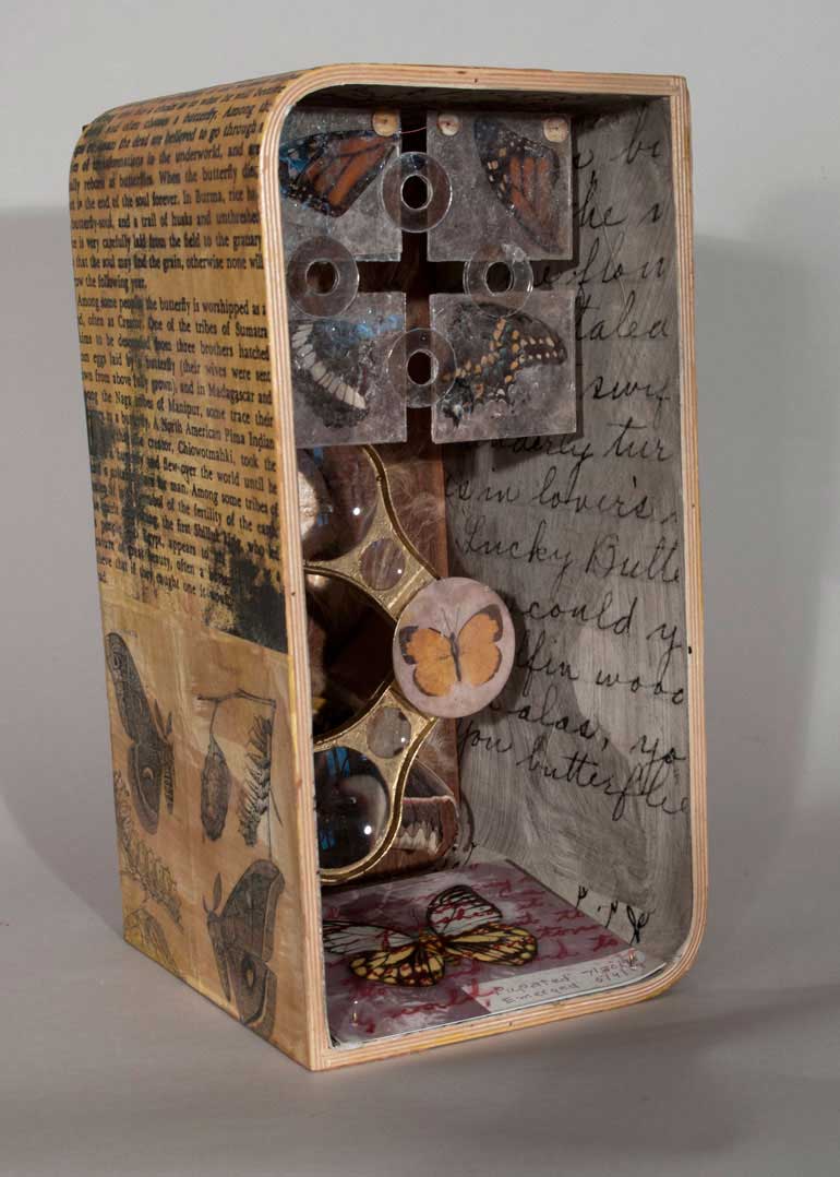 Lepideptora Box